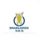 ชิงแชมป์เยาวชนบราซิล logo