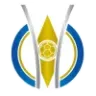 บราซิล คัพ (ญ) logo
