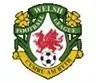 Wales League Div 1