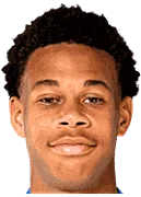 Kevin Danois