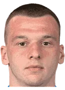 Novak Micovic