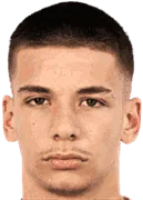 Viktor Radojevic