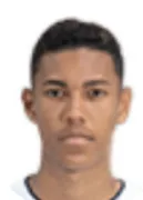 Vinicius Balieiro Lourenco Carvalho
