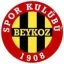 บายคอซ 1908