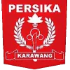เพอร์ซิกา 1951