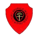 Sports Bissau e Benefica
